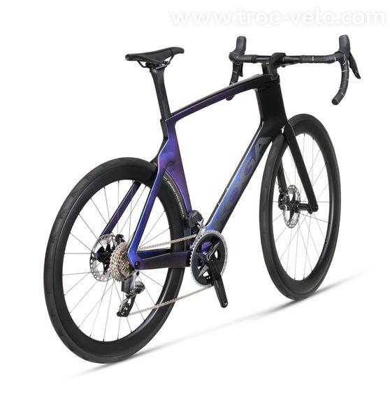 KOGA Kinsei Premium - 2