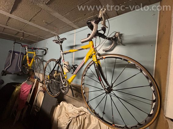 Vélo de course route, Félino Homme - 2