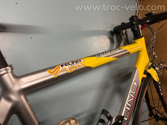 Vélo de course route, Félino Homme - 9