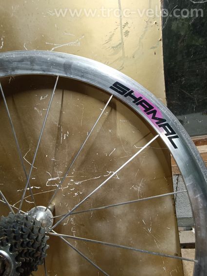 Roues Campagnolo Shamal 2° Génération 8 Vitesses Boyaux  - 5