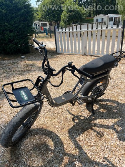 Fat Bike 2 places Green Trott