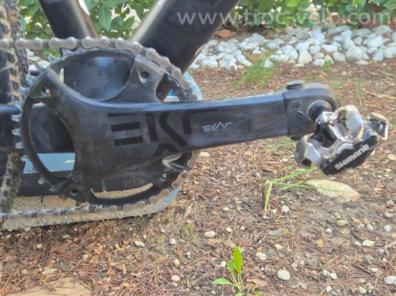 Wilier Rave SLR 2022 taille M - Campagnolo Ekar 13V - Roues Campa Shamal Carbon + Miche Graff - 2