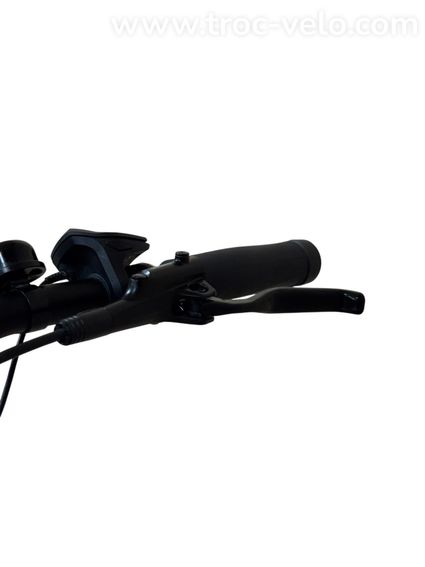 Diamant Opal+ Vélo électrique Shimano Nexus 2022 - 6