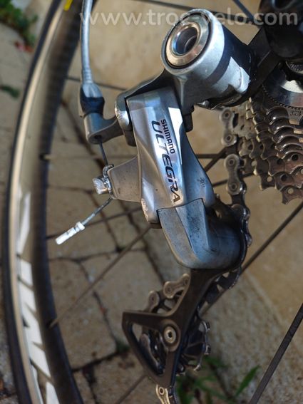 Lapierre Sensium carbone 49 – Ultegra 10V – Mavic Cosmic SL carbone - 14