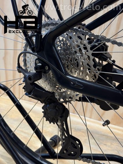 Simplon Chenoa Bosch CX XT Carbon Vélo électrique Shimano 2022 - 14
