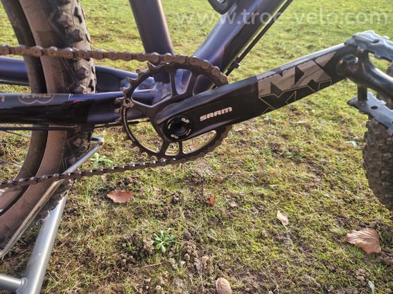 Scott scale 27.5 - 6