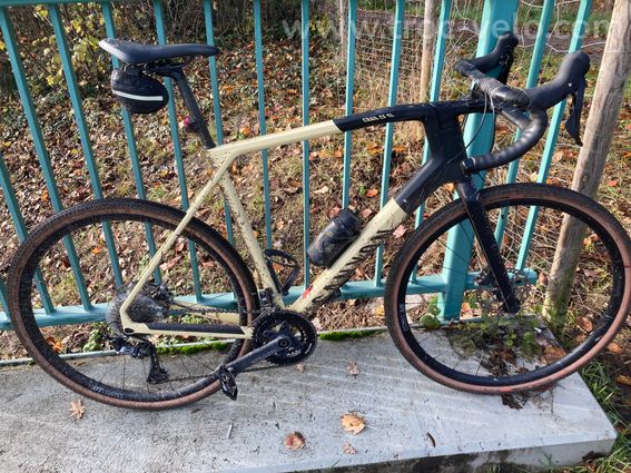 Gravel XL Canyon Grail CF SL 7 (2022) - 2