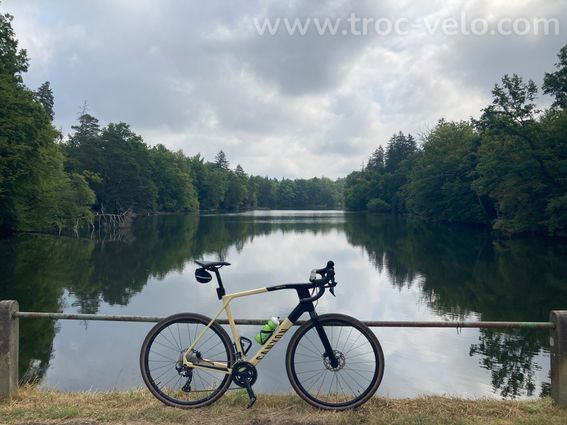 Gravel XL Canyon Grail CF SL 7 (2022) - 3