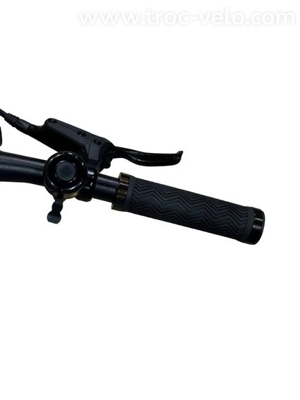 Tenways CGO600 Vélo électrique Single-Speed 2023 - 8