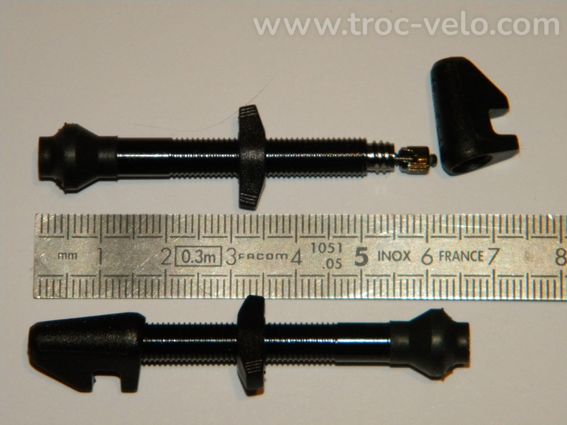 Paire de valve tubless 42mm - 2