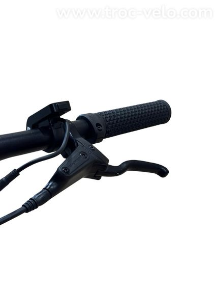 Tenways CGO600 Vélo électrique Single-Speed 2023 - 6