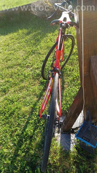 Pinarello gan - 2
