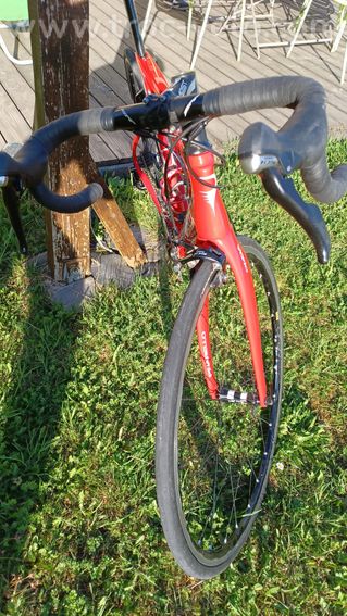 Pinarello gan - 3