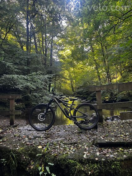 Specialized enduro stumpjumper - 3