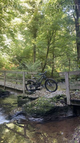 Specialized enduro stumpjumper - 4