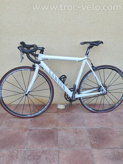 Canyon ultimate cf 10