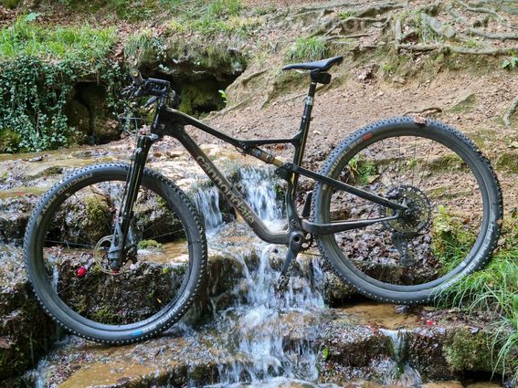 Cannondale Scalpel Ultimate taille L 2023 - 2