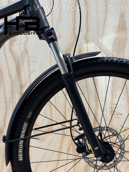 Giant Talon E+ EX 29 pouces VTT électrique Shimano Alivio 2022 - 3