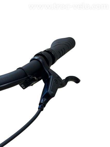 Giant DailyTour E+ 2 LDS Vélo électrique Shimano Deore 2023 - 6