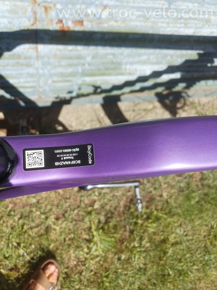 Canyon Inflite CF SL (cadre) - 3