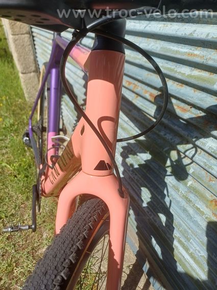 Canyon Inflite CF SL (cadre) - 4