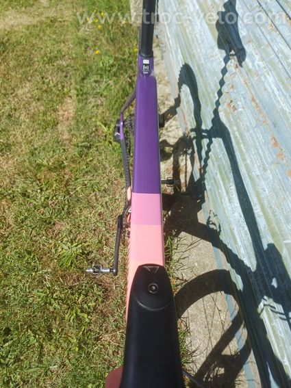 Canyon Inflite CF SL (cadre) - 5