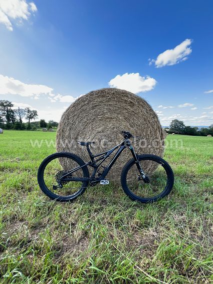 Specialized stumpjumper carbone
