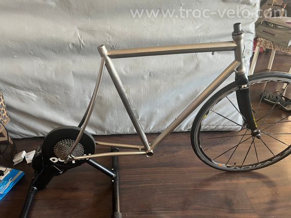 Litespeed vortex titane fourche carbone - 5