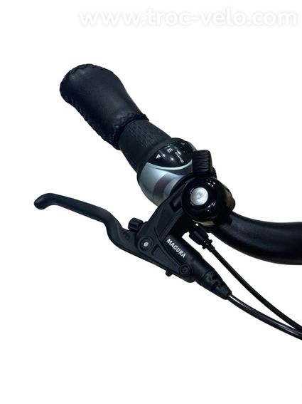Riese & Müller Swing4 Silent Vélo électrique Shimano Nexus 2024 - 5