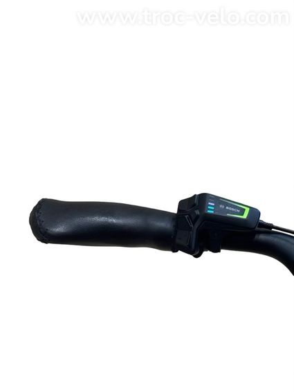 Riese & Müller Swing4 Silent Vélo électrique Shimano Nexus 2024 - 7