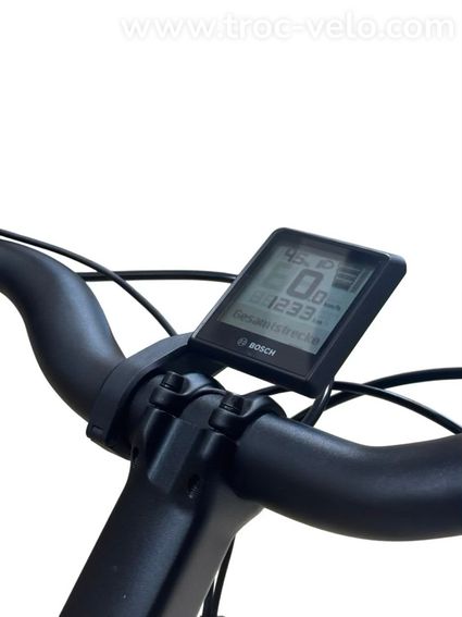 Riese & Müller Swing4 Silent Vélo électrique Shimano Nexus 2024 - 8