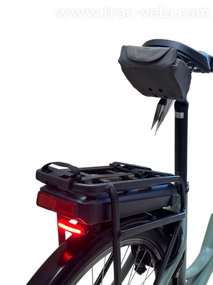 Riese & Müller Swing4 Silent Vélo électrique Shimano Nexus 2024 - 10