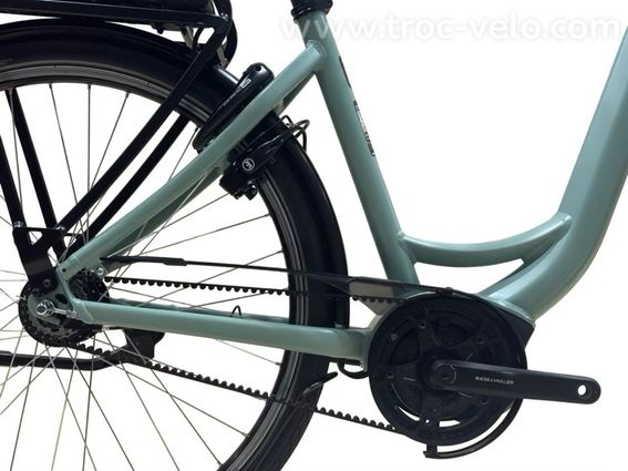 Riese & Müller Swing4 Silent Vélo électrique Shimano Nexus 2024 - 12