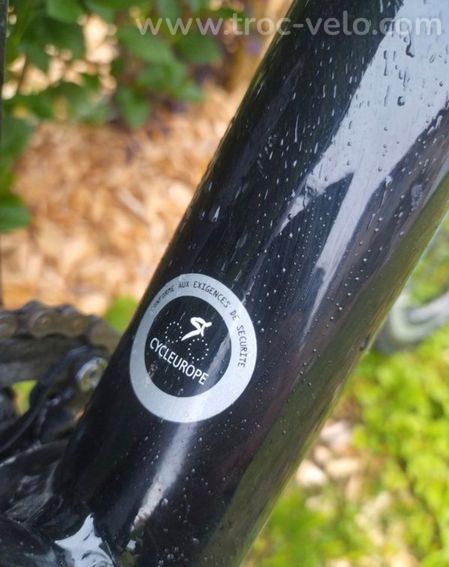 Tandem Gitane - 3