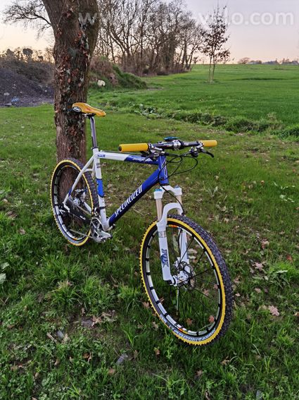 Specialized Stumpjumper - 3