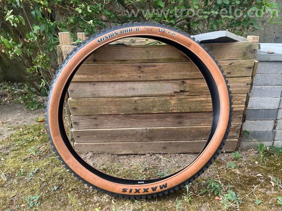 Pneus Maxxis DH marron - 2