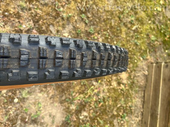 Pneus Maxxis DH marron - 3