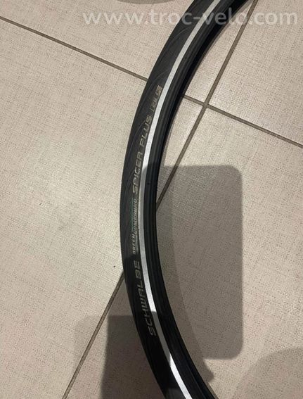 Schwalbe Spicer Plus - 2