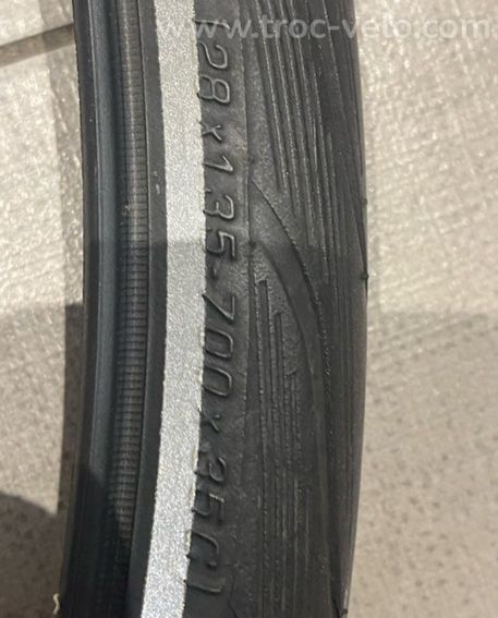 Schwalbe Spicer Plus - 3