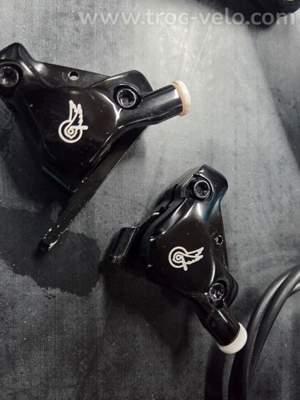 GROUPE CAMPAGNOLO 12V WIRELESS  - 3