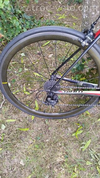 GIANT TCR ADVANCED 2 - 4