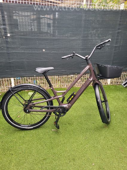 Velo SPECIALIZED