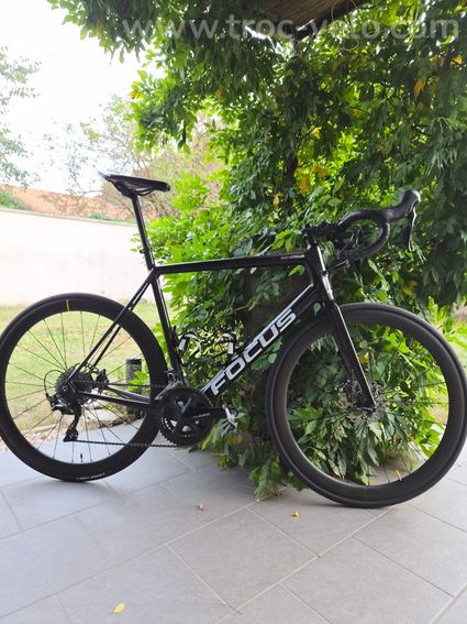 Velo de route XL focus izalco - 2