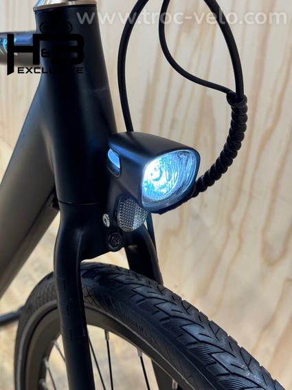 Tenways CGO600 Vélo électrique Single-Speed 2022 - 4