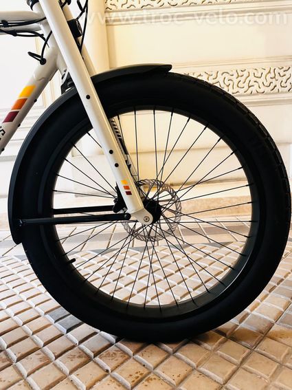 Vélo électrique Ruff Cycles Biggie FATBIKE quasi neuf - 7