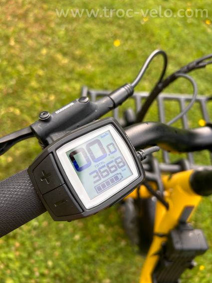 Vélo cargo électrique Benno remi demi - 2