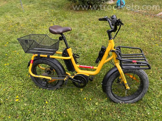 Vélo cargo électrique Benno remi demi - 3