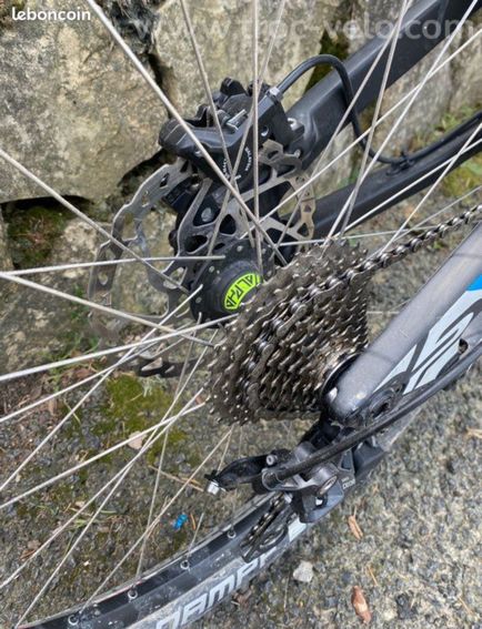 Lapierre spicy - 5