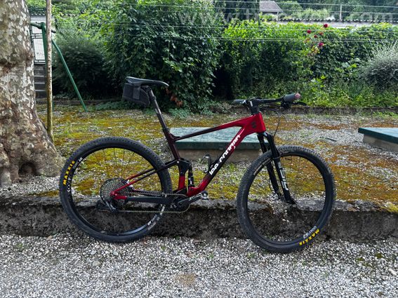 VTT Lee cougan