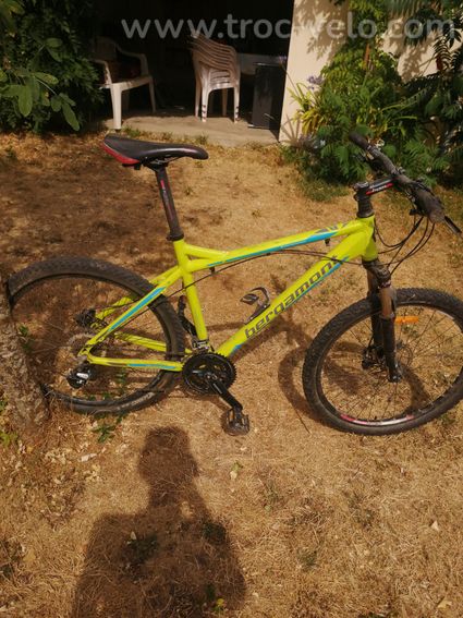 VTT bergamont